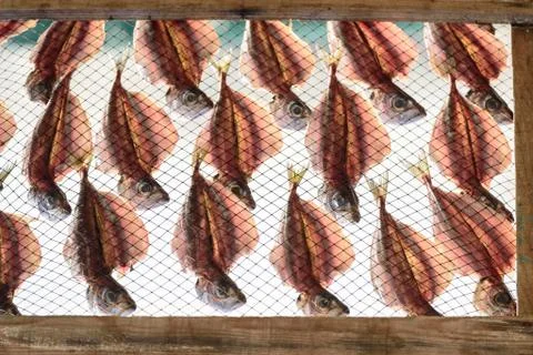 Dried Fish Stock Photos