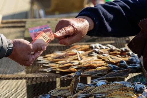 Dried Fish Foto stock