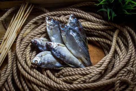 Dried fish Stock Photos