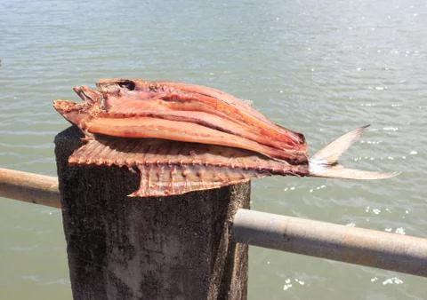 Dried fish placed in a rack bamboo tray on sun day light with sea view, for s Stock Photos