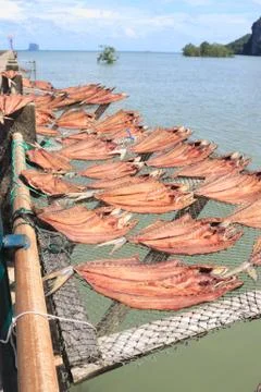 Dried fish placed in a rack bamboo tray on sun day light with sea view, for s Stock Photos