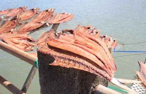 Dried fish placed in a rack bamboo tray on sun day light with sea view, for s Stock Photos