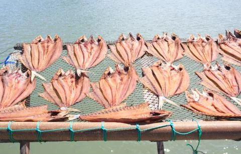 Dried fish placed in a rack bamboo tray on sun day light with sea view, for s Stock Photos