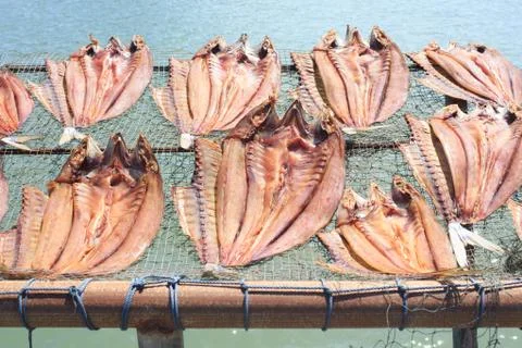 Dried fish placed in a rack bamboo tray on sun day light with sea view, for s Stock Photos