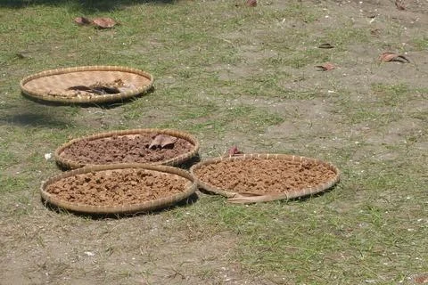 Dried Fish in the Process Stock Photos