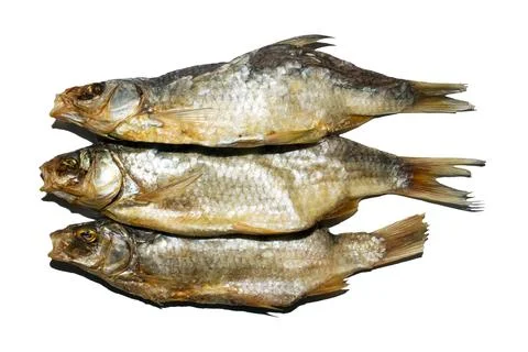 Dried fish roach on a white background.Dried roach background. Stock Photos