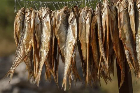 Dried fish on a rope 库存照片