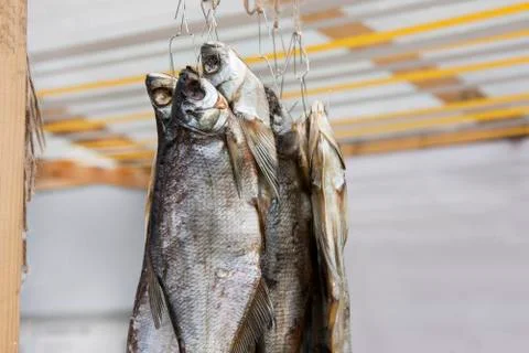 Dried fish on a rope Stock Photos