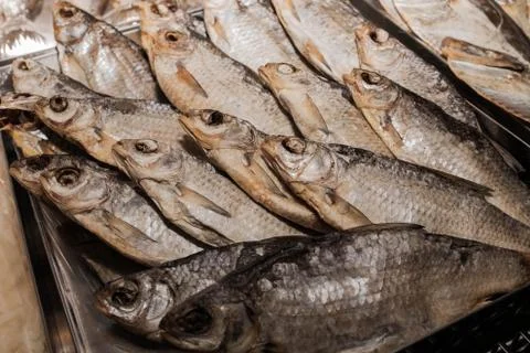 Dried fish Rutilus caspicus Stock Photos