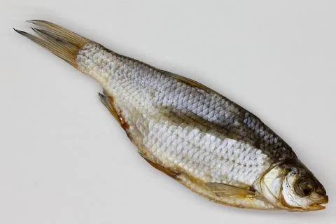 Dried fish on white background. Big dried sea roach. Salted vobla from the Volga Stock Photos