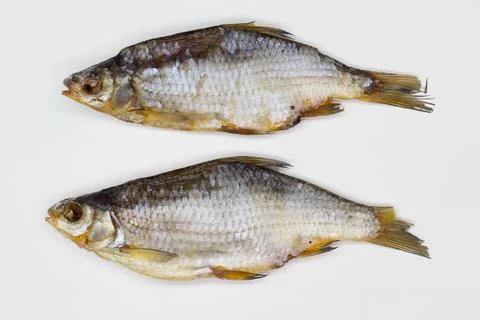 Dried fish on white background. Big dried sea roach. Salted vobla Stock Photos