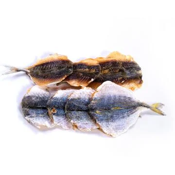 Dried fish on a white background 库存照片