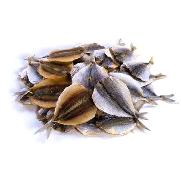 Dried fish on a white background Stock Photos