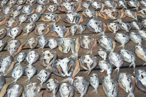 Dried fishs Stock Photos