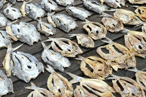 Dried fishs Stock Photos