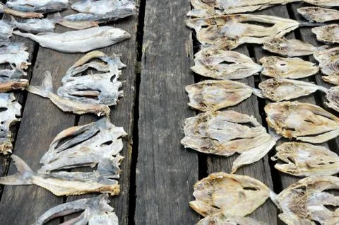 Dried fishs Fotos de archivo