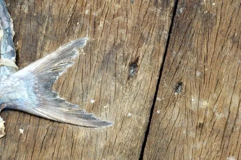 Dried fishs Stock Photos