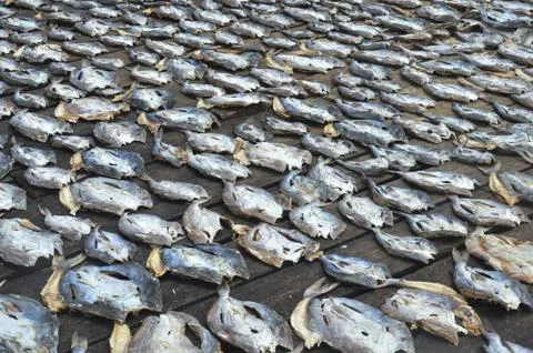 Dried fishs Stock Photos