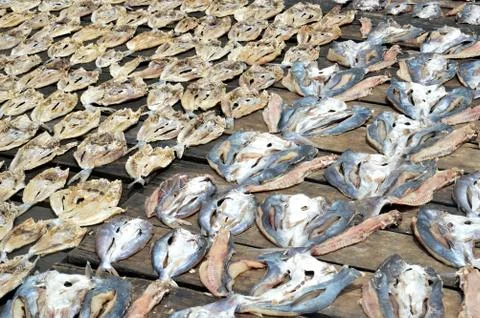 Dried fishs Stock Photos