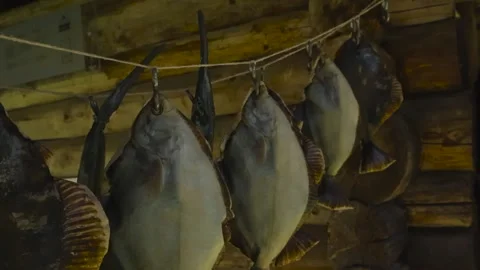 Dried flatfish or salted flounder hanging on a rope to be preserved outdoors in Stock Footage 316579456