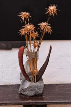 Dried Flower Background Stock Photos