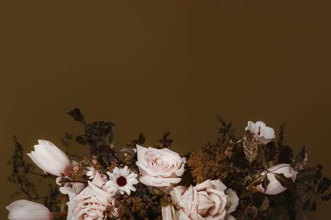Dried flower border, brown background, design space Stock Photos
