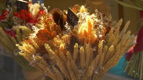 Dried flower bouquet with wheat ears in sunlight Stock Footage 334656077
