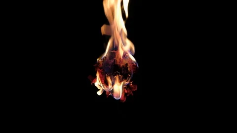Dried flower burns on a black background Stock Footage 94345544