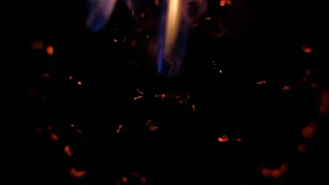 Dried flower burns on a black background Stock-Footage 94381271
