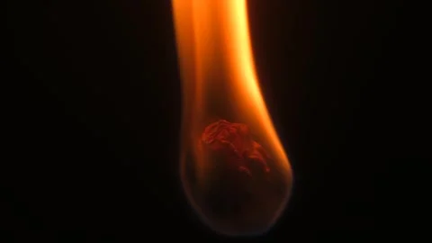 Dried flower burns on a black background Stock-Footage 245372368