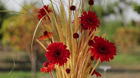 Dried flower decoration. 库存影片 334772252