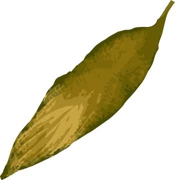 Dried flower leaf Stock Illustration