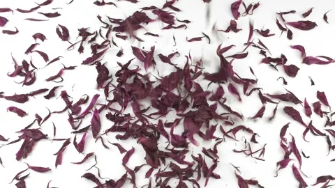 Dried flower petals falling down on the white table Stock Footage 335614876