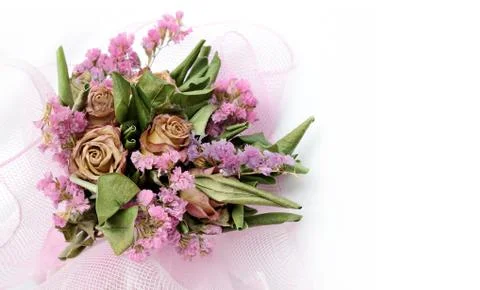 Dried flower Foto stock