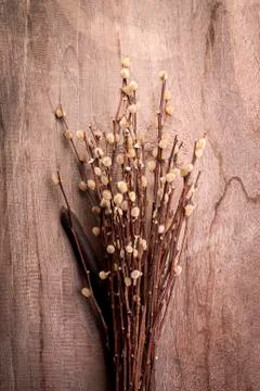 Dried flower Stock Photos