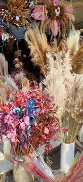 Dried flower Stock Photos