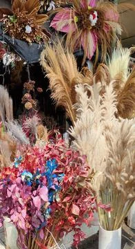Dried flower Stock Photos