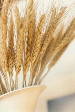 Dried flower Foto stock