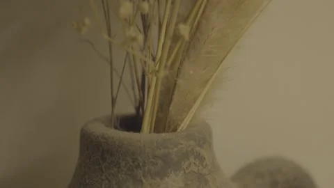 Dried Flower in Stone Pot with Rustic Mood  S-Log3 Stock Footage 313572544