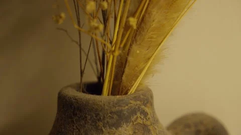 Dried Flower in Stone Pot with Rustic Mood Stock Footage 313572549