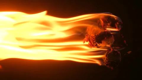 The dried flowers are burning. Video stock 245581127