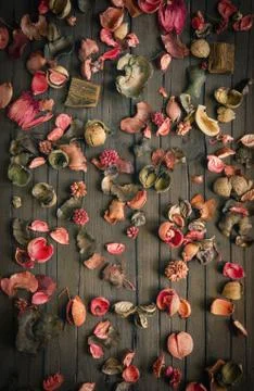 Dried flowers background Stock Photos