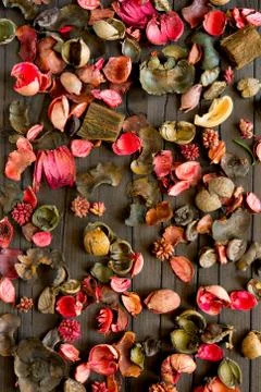 Dried flowers background Stock Photos