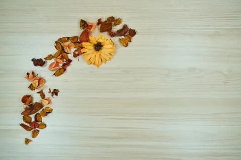 Dried Flowers Background Stock Photos