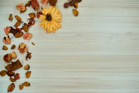 Dried Flowers Background Stock Photos