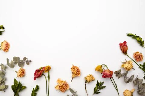 Dried flowers composition. Frame made of dried rose. Flat lay, top view Stock Photos