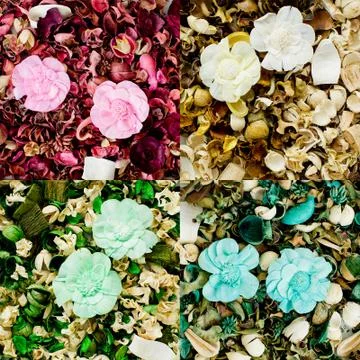 Dried flowers composition Stock Photos