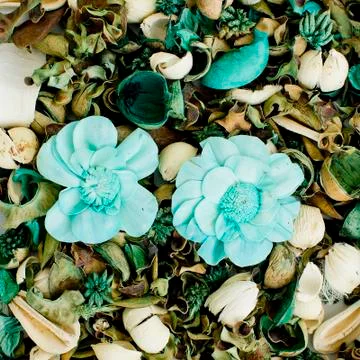 Dried flowers composition Stock Photos