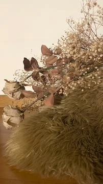 Dried flowers composition with soft textures, warm tones and artistic mood Stock Photos