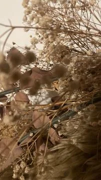 Dried flowers composition, soft textures and natural earthy tones Stock Photos